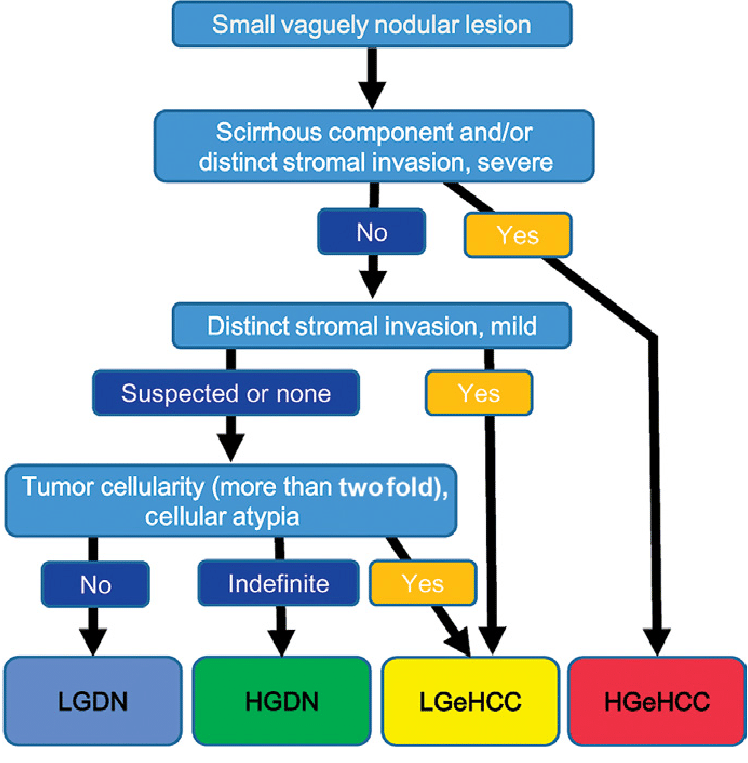 Fig. 4. Proposed Diagnostic Flow For Small Vaguely Nodular Lesions. High Grade - Vaguely, Transparent background PNG HD thumbnail