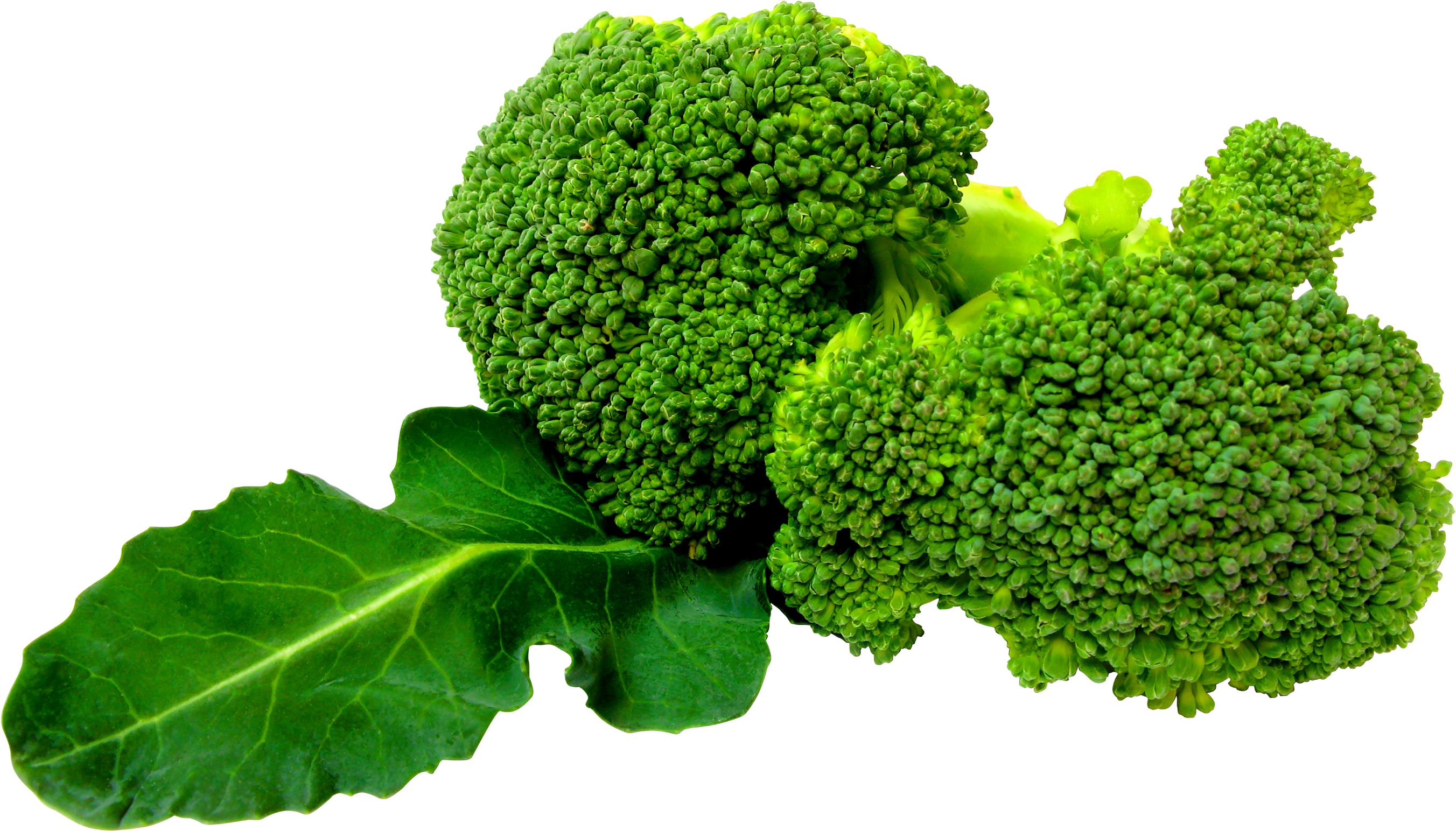 Broccoli PNG Transparent Imag
