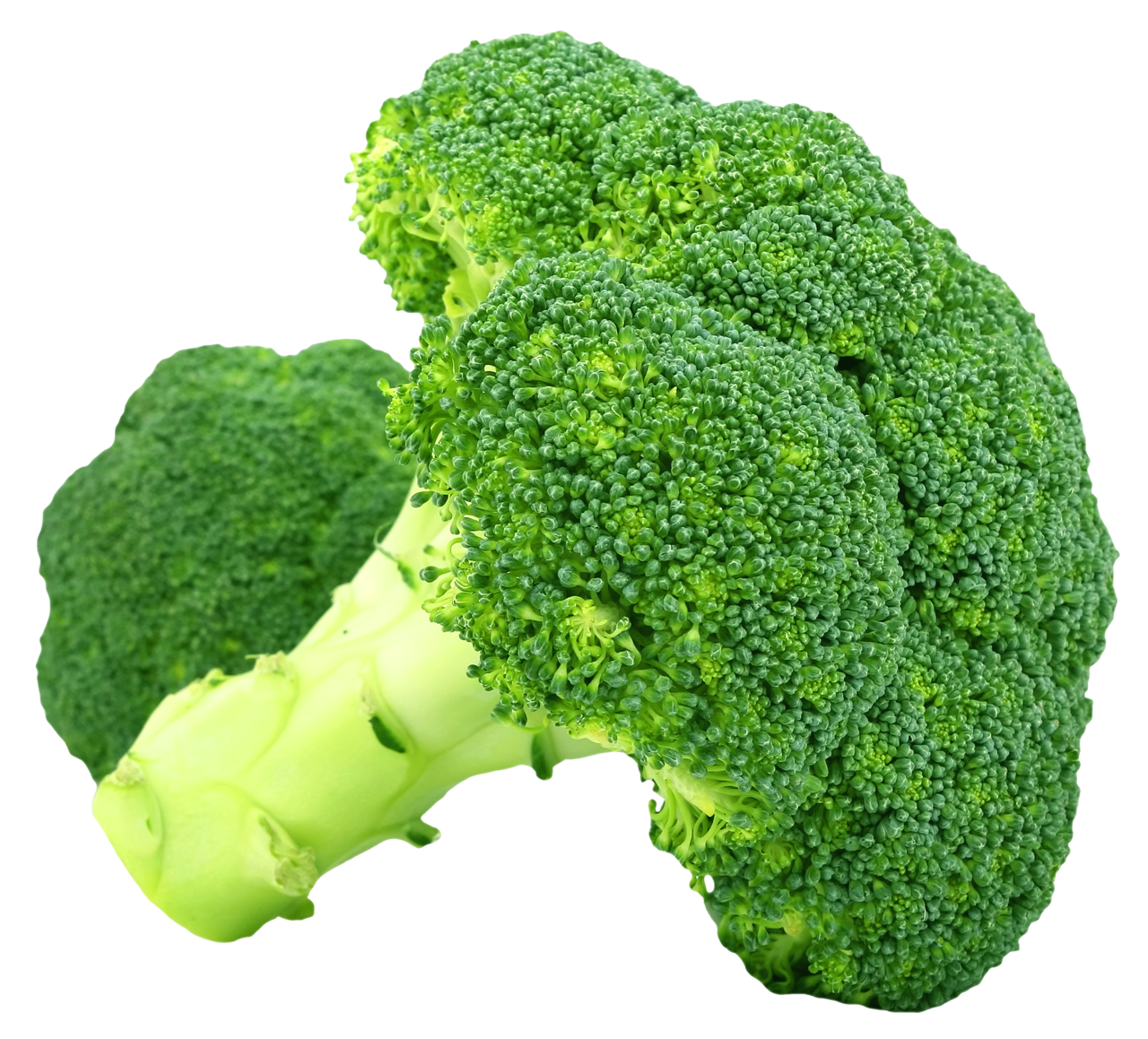 Broccoli Png Transparent Image - Vegetable, Transparent background PNG HD thumbnail
