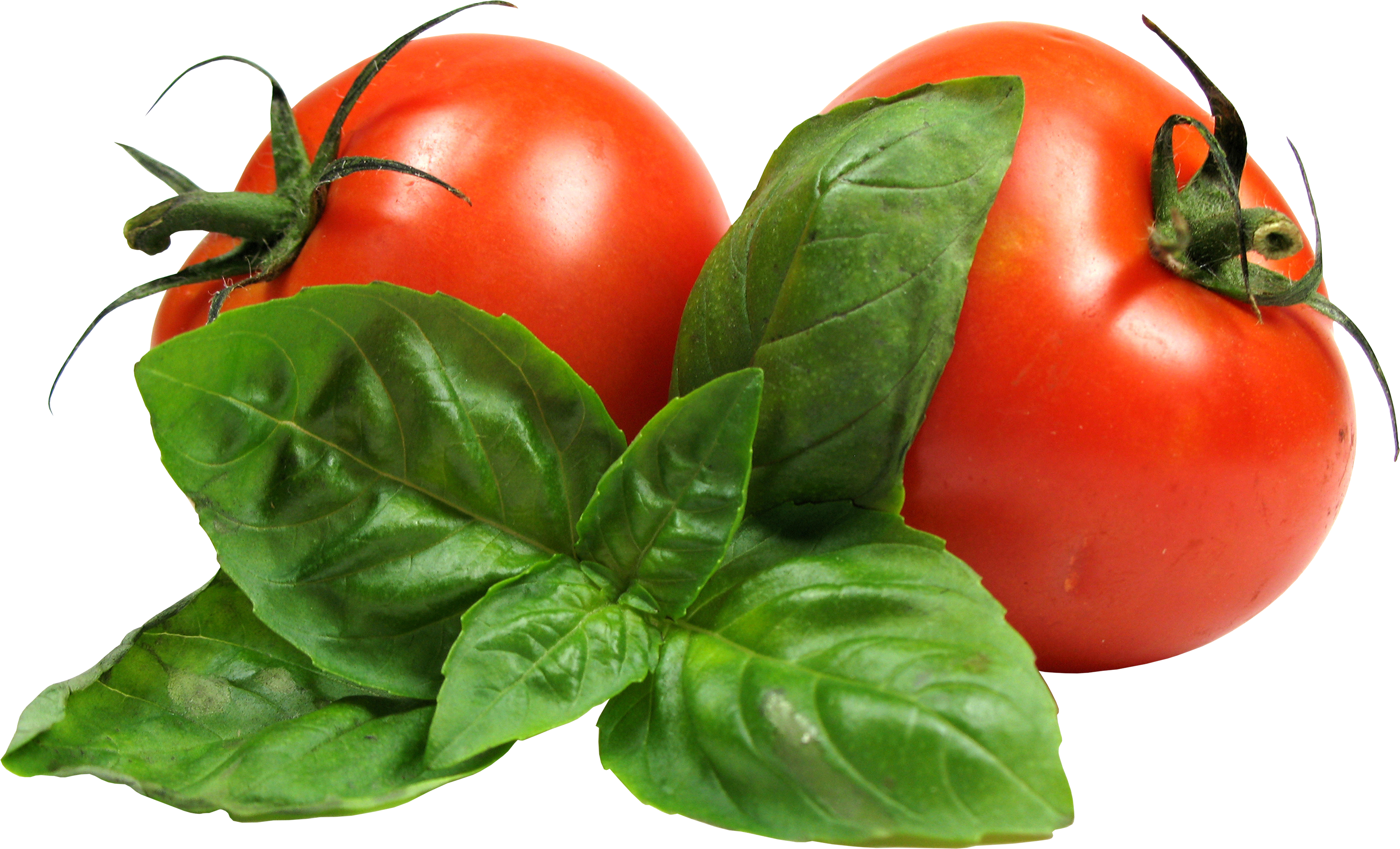 Tomato Png - Vegetable, Transparent background PNG HD thumbnail