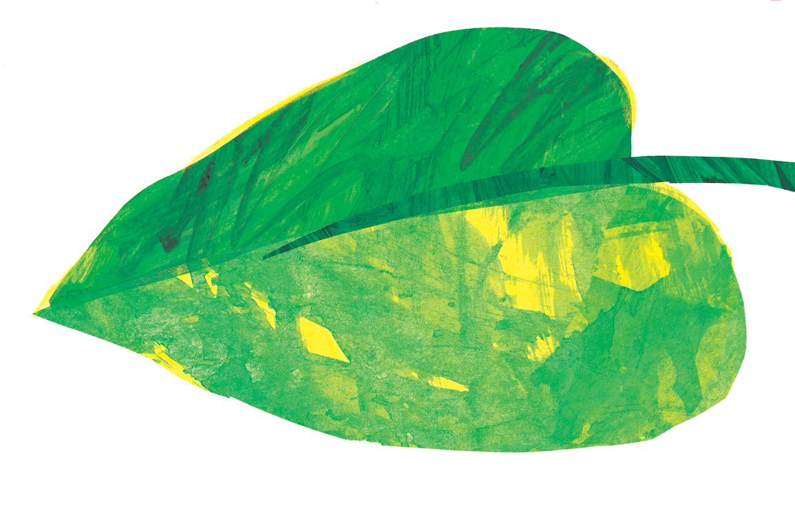 Amazon Pluspng.com: The Very Hungry Caterpillar (9780399226908): Eric Carle: Books - Very Hungry Caterpillar, Transparent background PNG HD thumbnail