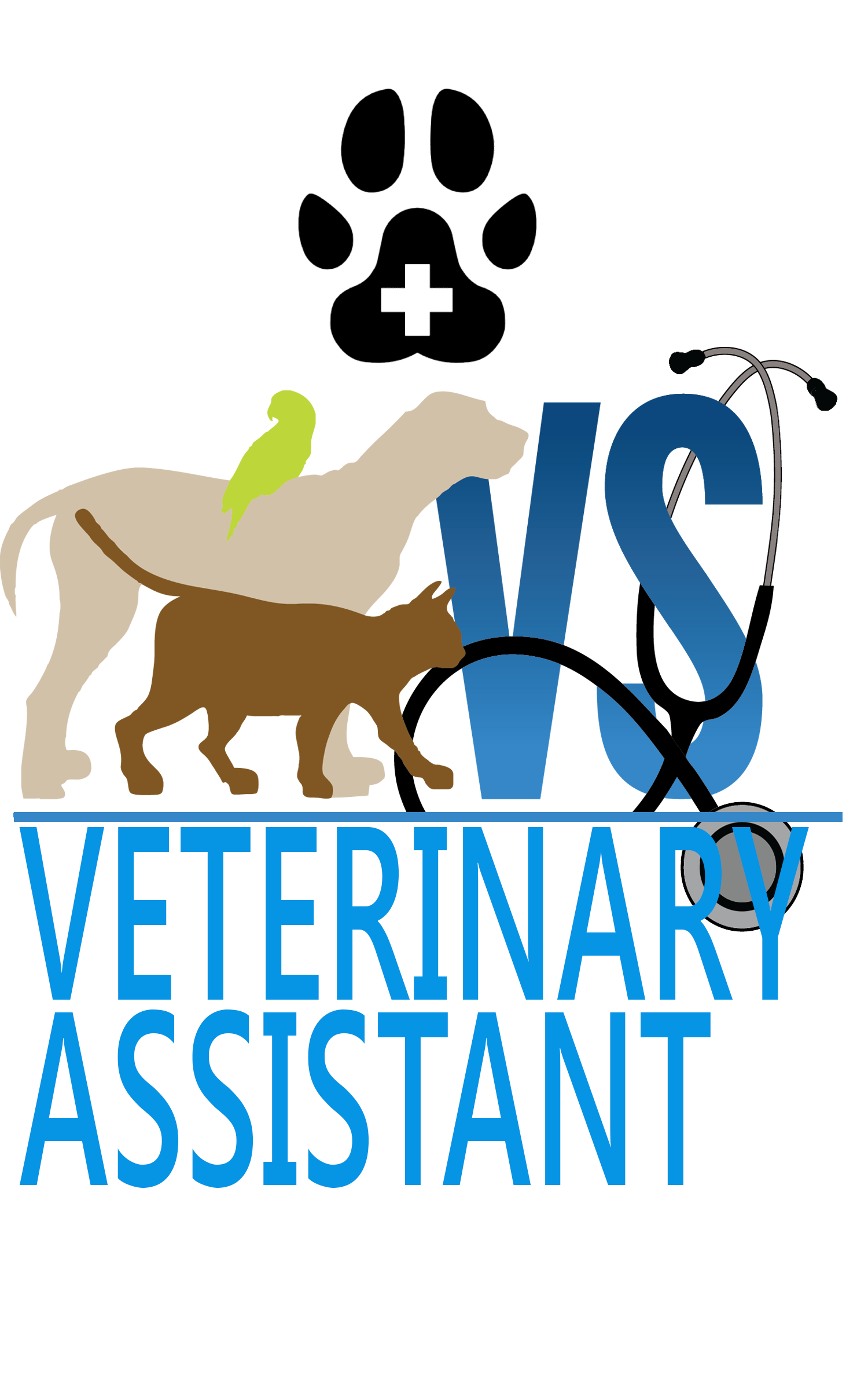 Veterinary Assistant - Vet Assistant, Transparent background PNG HD thumbnail