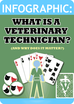 Veterinary Assistant Infographic - Vet Assistant, Transparent background PNG HD thumbnail