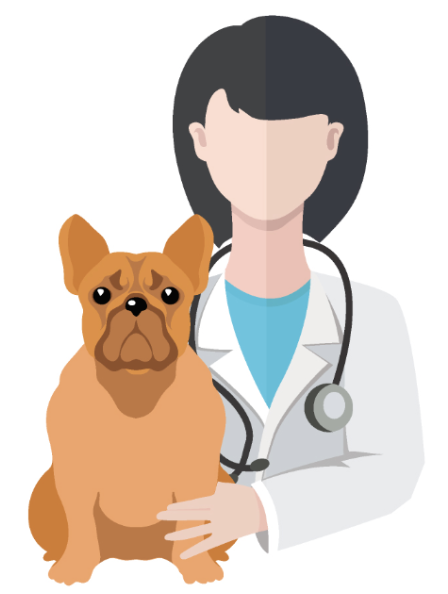 Kings Highway Animal Clinic In San Marcos Has A Monthly Vaccine Clinic. Kyle Animal Hospital Has A Twice Monthly Clinic - Vet Clinic, Transparent background PNG HD thumbnail