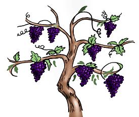 As We Look At The Vine And Its Branches, We See That They Are One - Vine And Branches, Transparent background PNG HD thumbnail