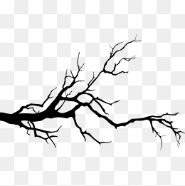 Ink Vine Branches, Ink, Branches, Vine Branches Png Image And Clipart - Vine And Branches, Transparent background PNG HD thumbnail