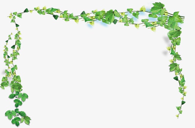Spring Vine Branches, Spring, Vine, Branch Png And Psd - Vine And Branches, Transparent background PNG HD thumbnail