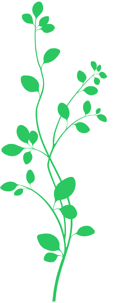 The Vine And Branches - Vine And Branches, Transparent background PNG HD thumbnail