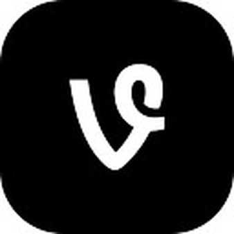 Vine - Vine Vector, Transparent background PNG HD thumbnail
