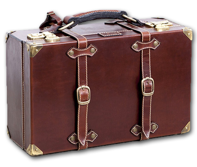 Vintage-Louis-Vuitton-luggage