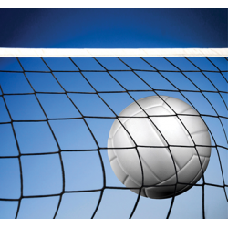Volley Ball - Volleyball Ball And Net, Transparent background PNG HD thumbnail