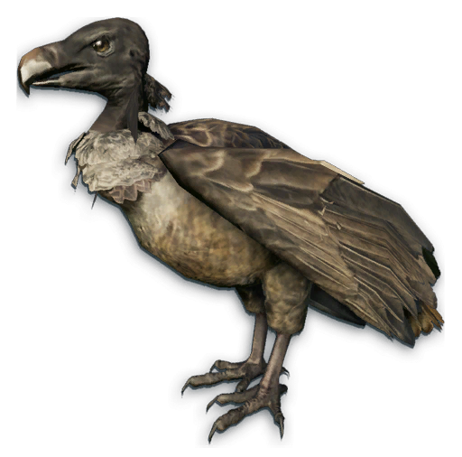 Png Vulture by Moonglowlilly 