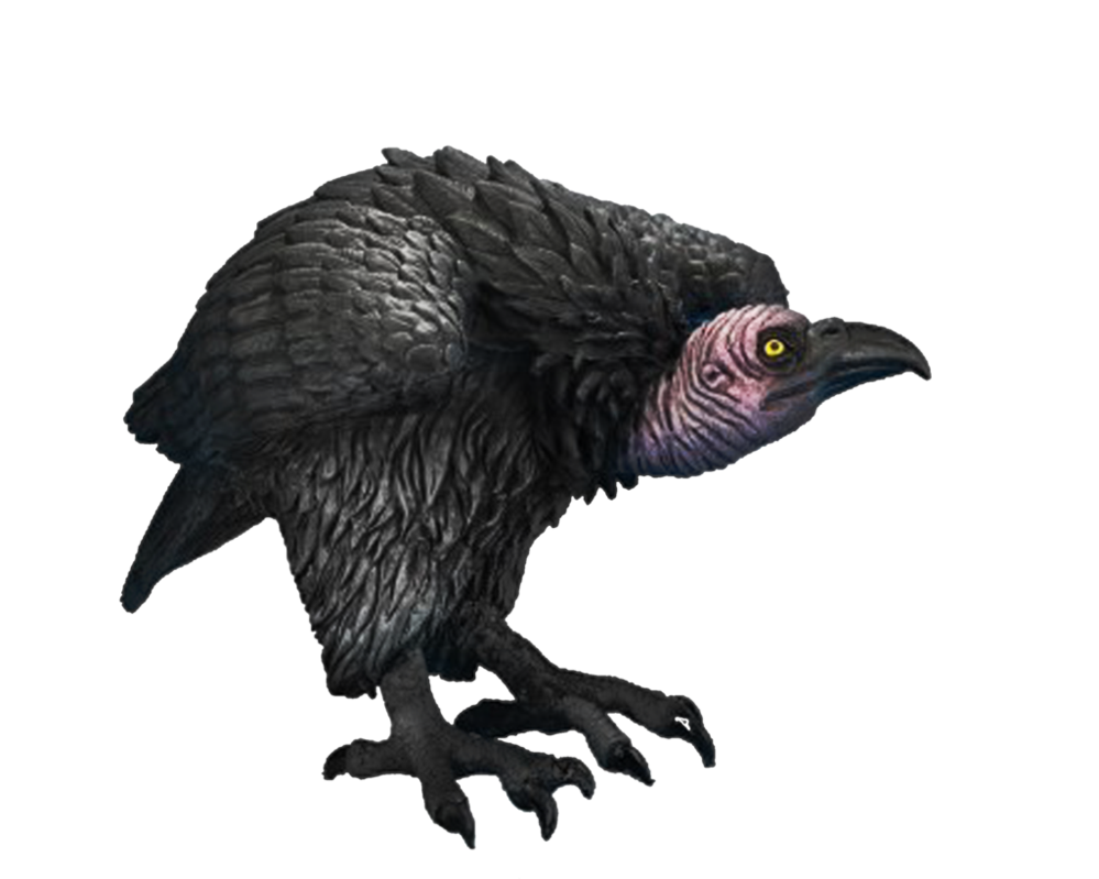 Zombie/Infected vulture adopt