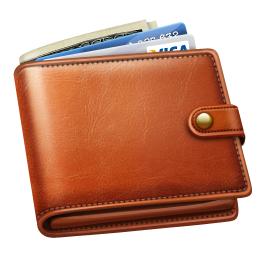 Wallet with money PNG image