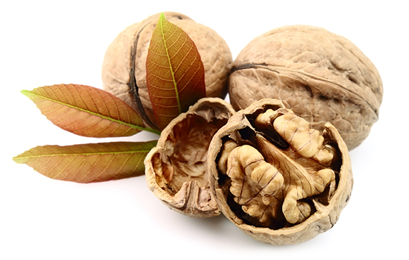 Tea Made From Walnut Partitions For Heart Problems And Strokes U2013 Cuisine U0026 Health - Walnut, Transparent background PNG HD thumbnail