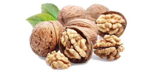 Walnut Free Download Png PNG 