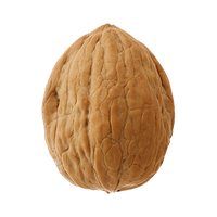 Walnut Free Download Png Png Image - Walnut, Transparent background PNG HD thumbnail