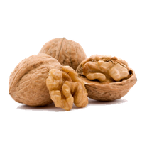 Walnut Free Png Image Png Image - Walnut, Transparent background PNG HD thumbnail