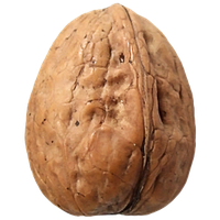 Walnut Png Clipart Png Image - Walnut, Transparent background PNG HD thumbnail
