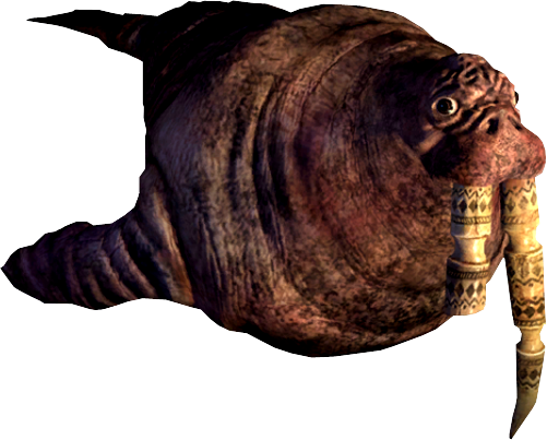 Walrus Clipart - PNG Image #6