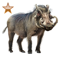 File:huge Item Warthog Bronze 01.png - Warthog, Transparent background PNG HD thumbnail