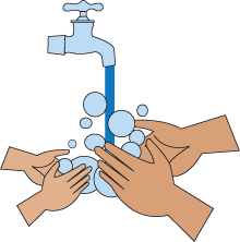 Hand Washing_large - PNG Hand