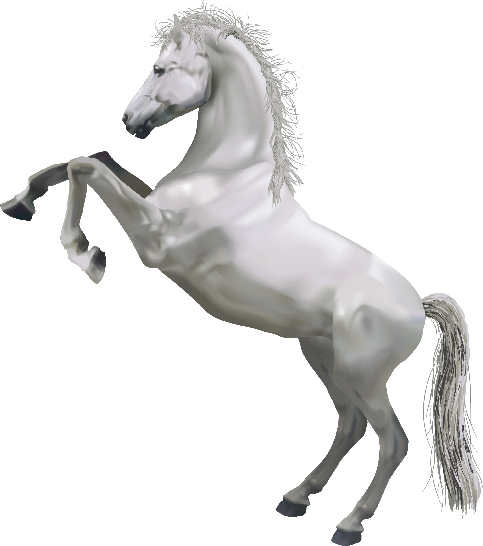 Horse Transparent Png Sticker - Water Horse, Transparent background PNG HD thumbnail