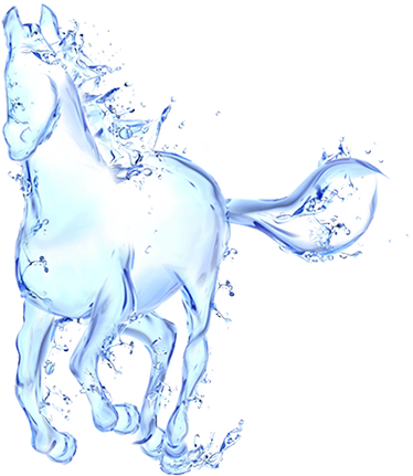 Image 4 - Water Horse, Transparent background PNG HD thumbnail