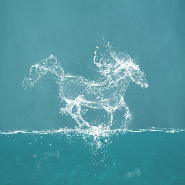 The Water Horse   Illustrations By Paula Belle Flores U003C3 U003C3 Hdpng.com  - Water Horse, Transparent background PNG HD thumbnail