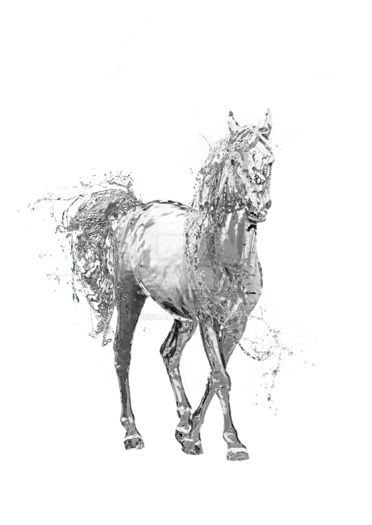 Water Horse On A Transparent Background. By Prussiaart Hdpng.com  - Water Horse, Transparent background PNG HD thumbnail