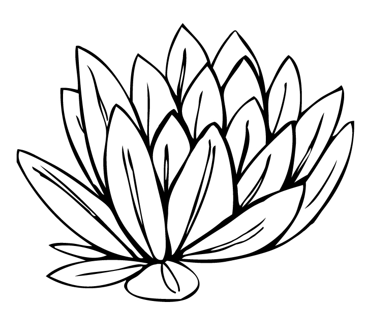 Cartoon Water Lily Clip Art Image Search Results   Clipart Library - Water Lily Black And White, Transparent background PNG HD thumbnail