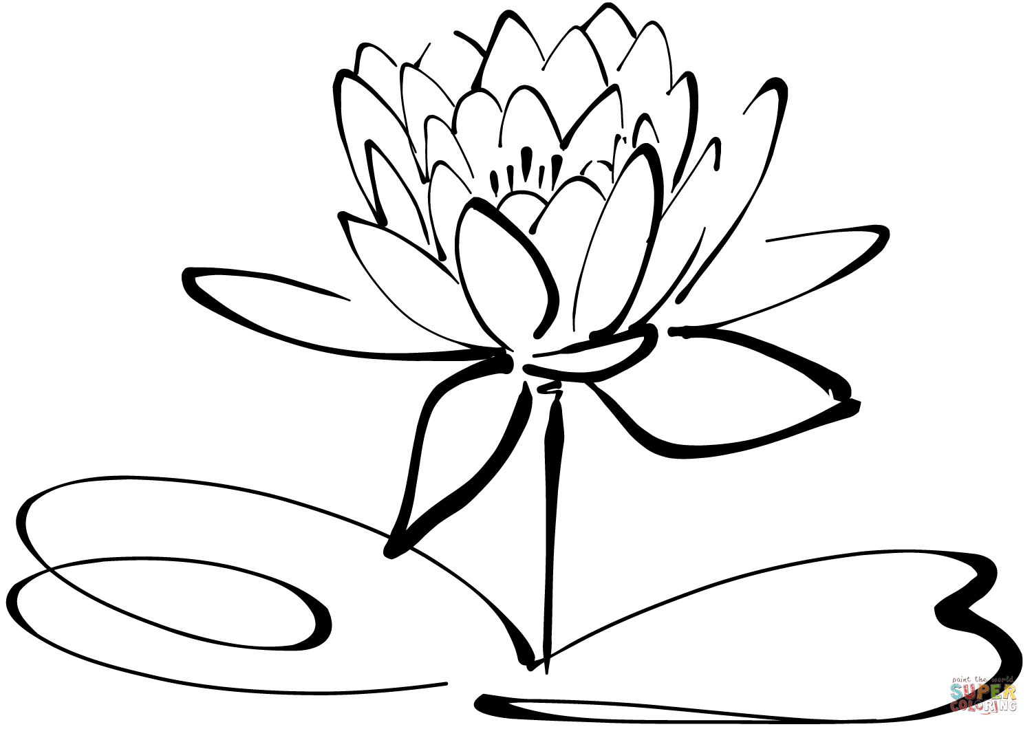 Click The Water Lily Hdpng.com  - Water Lily Black And White, Transparent background PNG HD thumbnail