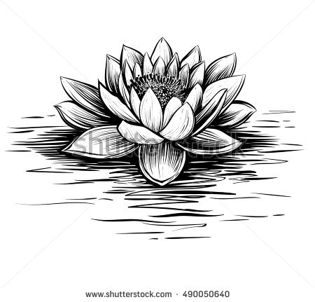 Vector Waterlily With Water Waves. Lotus Illustration. Black And White Graphic Art Line. - Water Lily Black And White, Transparent background PNG HD thumbnail