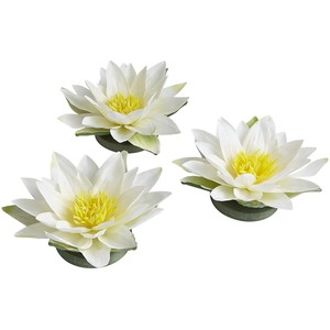 Pier 1 Imports Floating Faux Water Lilies - Water Lily, Transparent background PNG HD thumbnail