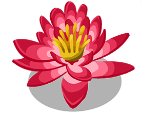 Water Lily.png - Water Lily, Transparent background PNG HD thumbnail