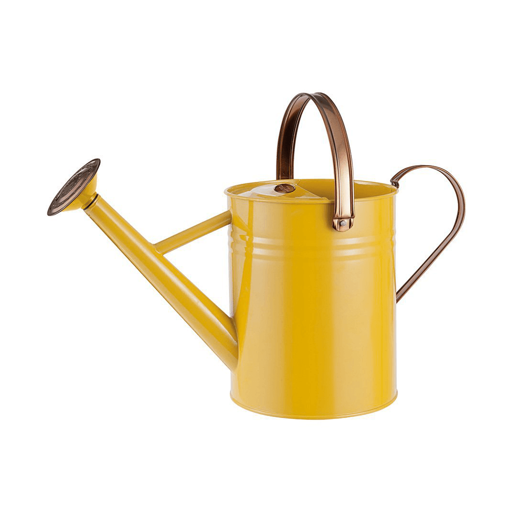 Cartoon yellow watering pot, 