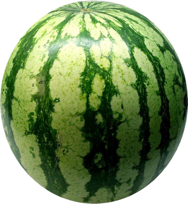 Watermelon Png Image Transparent Free Download - Watermelon, Transparent background PNG HD thumbnail