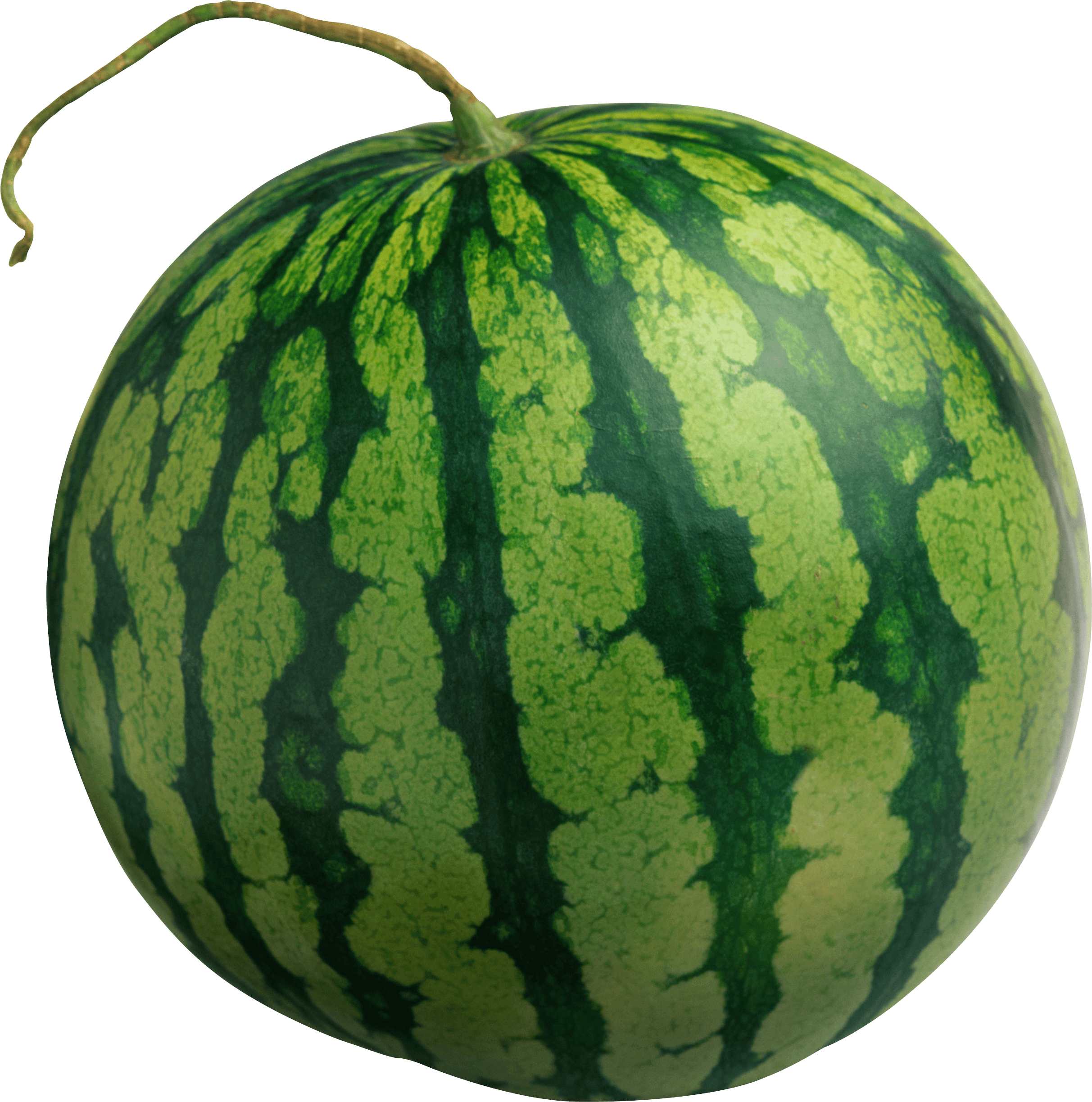 Large Isolated Watermelon - Watermelon, Transparent background PNG HD thumbnail