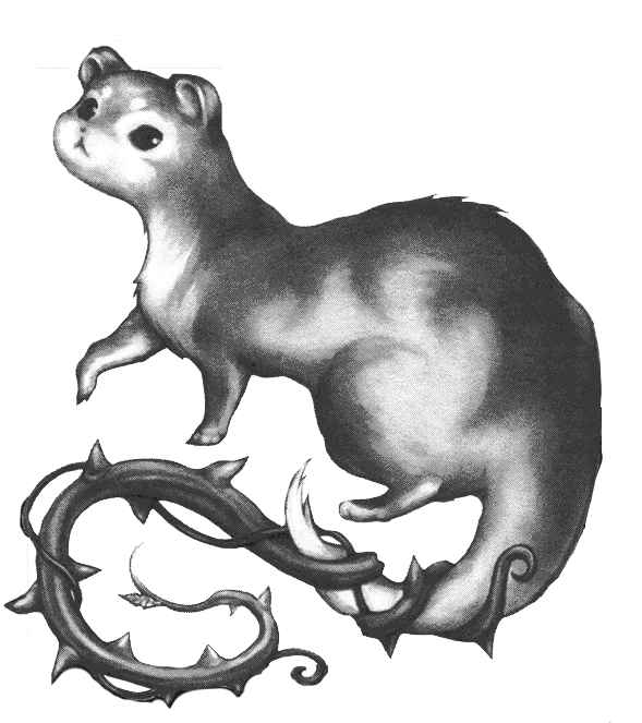 Brier Weasel.png - Weasel, Transparent background PNG HD thumbnail