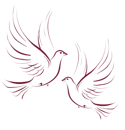 Wedding Dove Png Hd - Photo Gallery Of   Wedding Dove Png, Transparent background PNG HD thumbnail