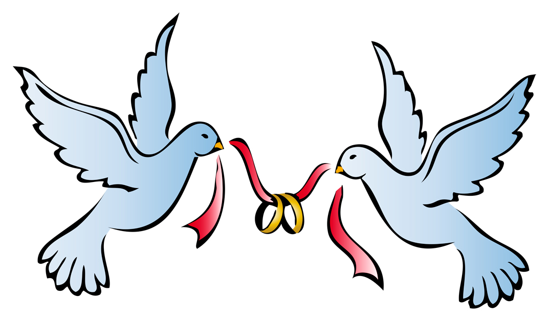Wedding Dove Png Hd - Turtle Dove Clipart Wedding Symbol #5, Transparent background PNG HD thumbnail