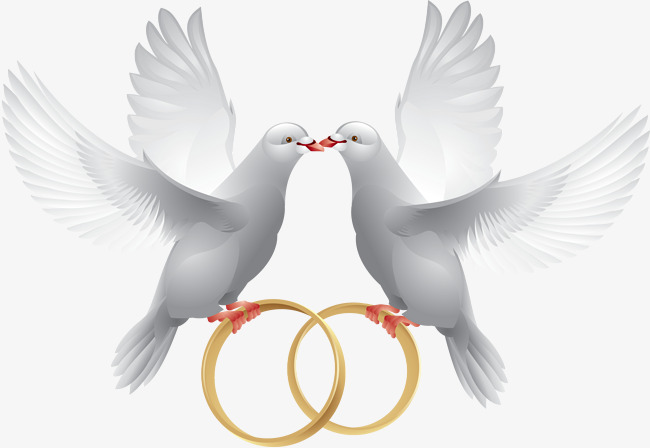 Wedding Dove Png Hd - Two Doves, Hand Painted, Peace Dove, White Png Image, Transparent background PNG HD thumbnail