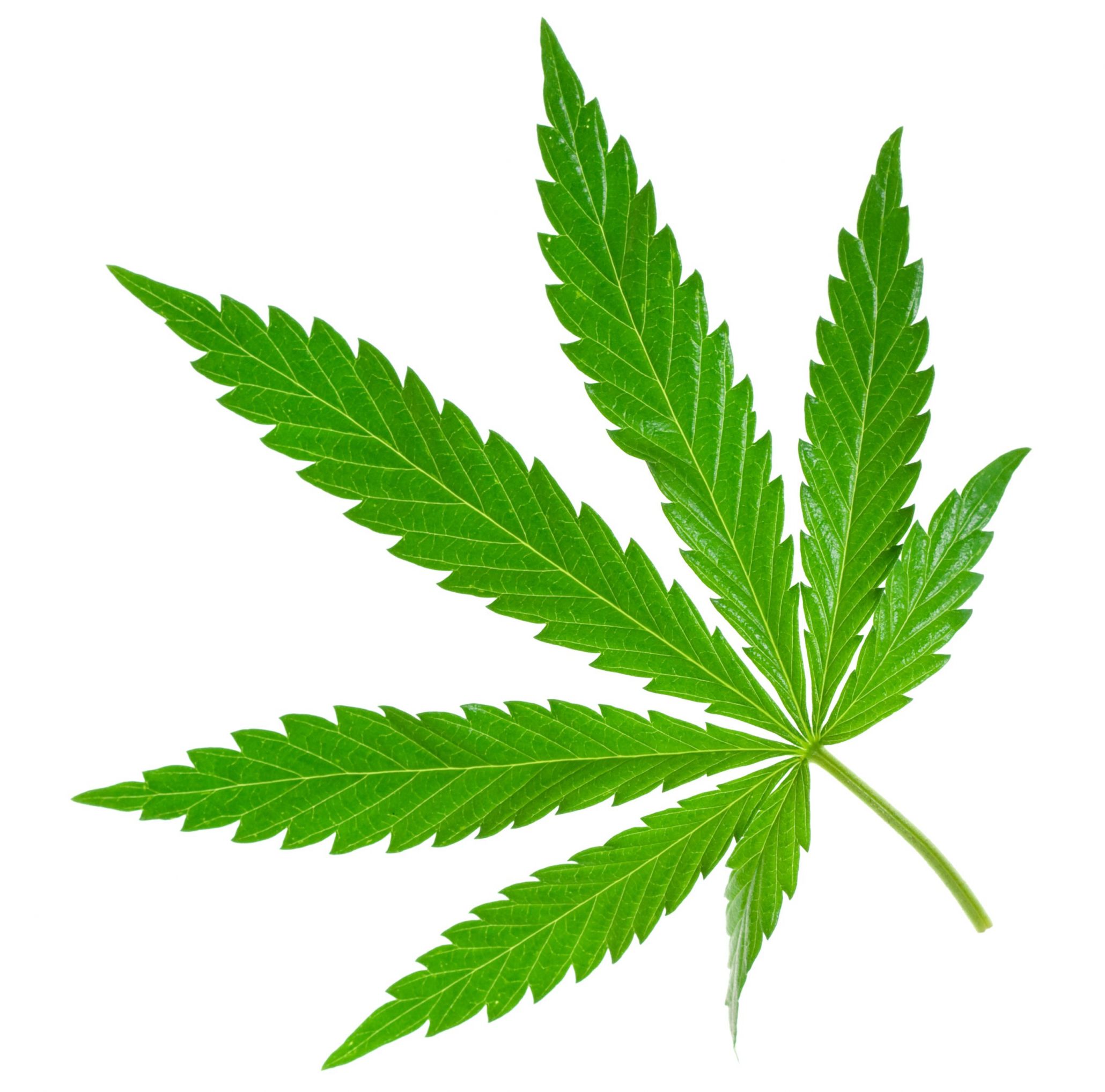 High Resolution Wallpaper | Marijuana 2060X2036 Px - Weed, Transparent background PNG HD thumbnail