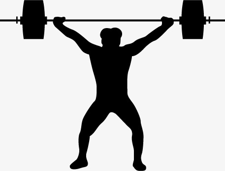 Vector Weightlifting, Weightlifting, Hand Painted, Sketch Png And Vector - Weightlifter, Transparent background PNG HD thumbnail