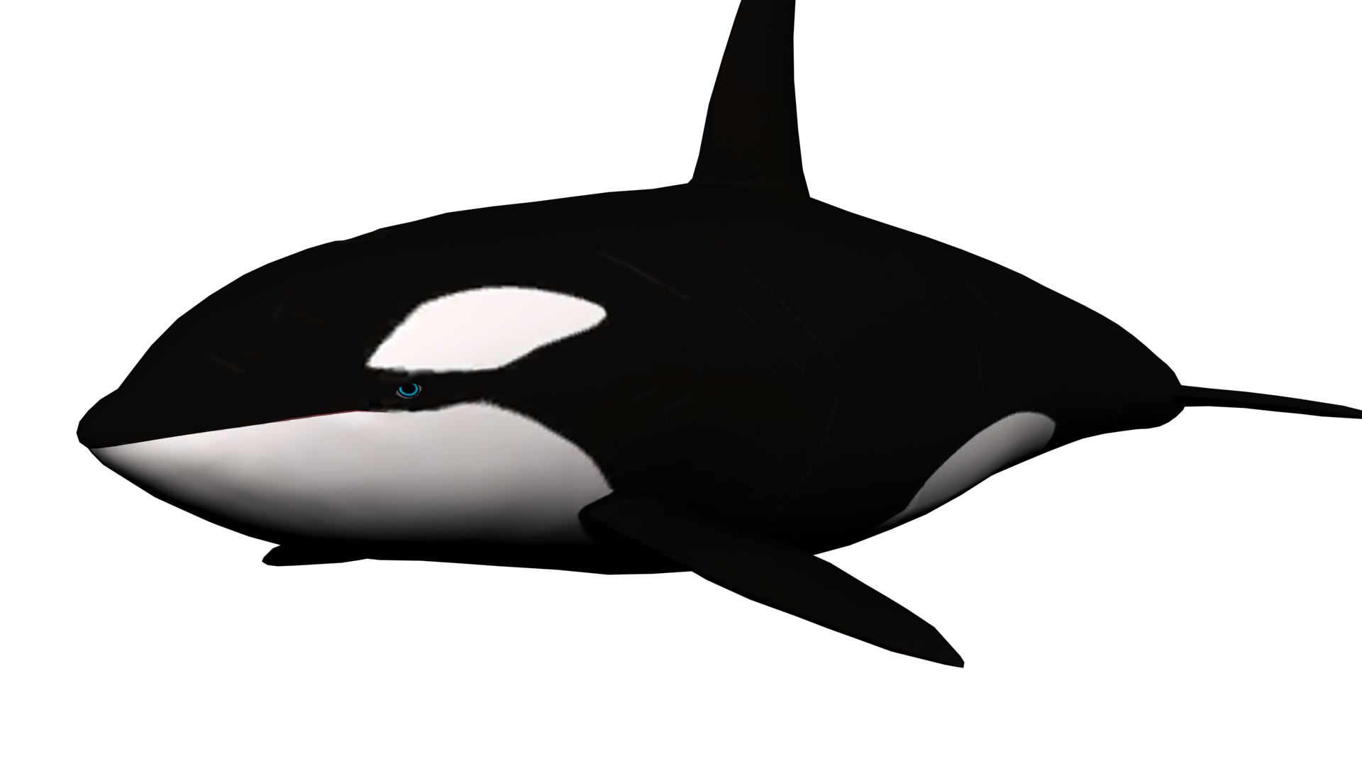 Whale PNG-PlusPNG.com-600