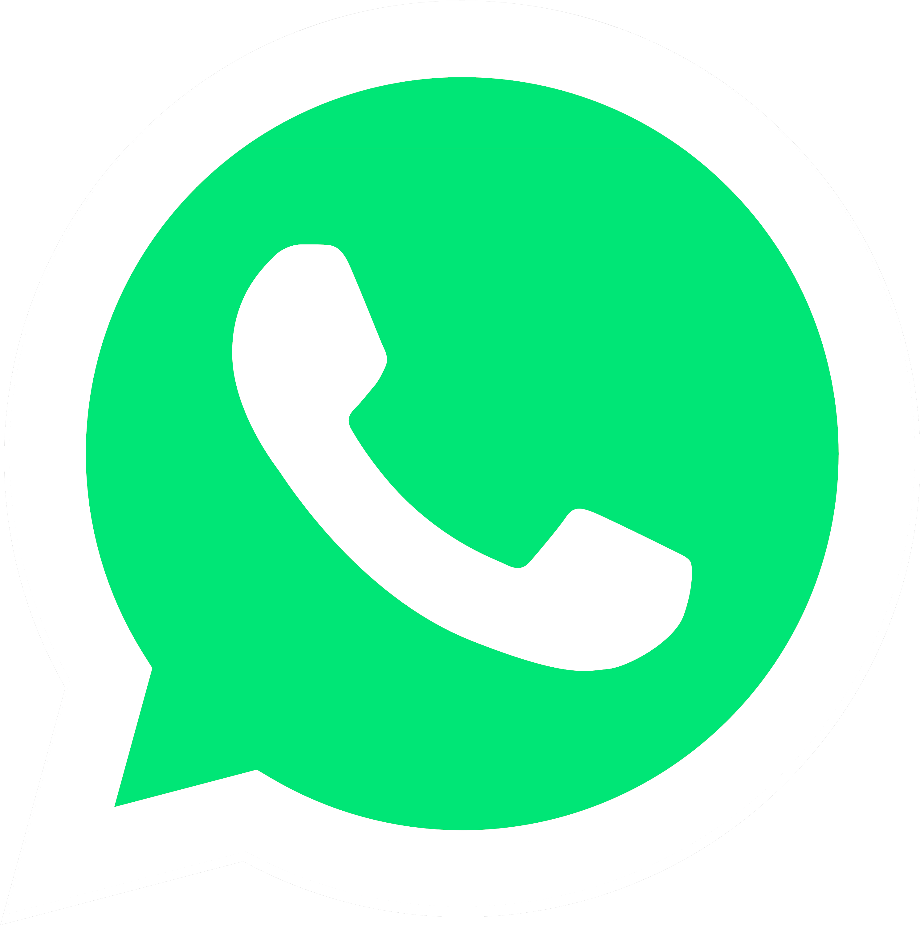 Clipart Png Whatsapp Logotype Png Images   Logo Whatsapp Pluspng.com  - Whatsapp, Transparent background PNG HD thumbnail