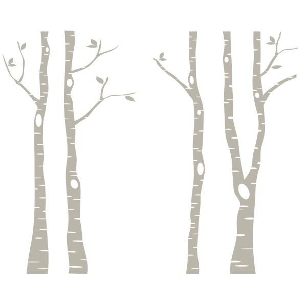 White Birch Tree Png Hdpng.com 600 - White Birch Tree, Transparent background PNG HD thumbnail