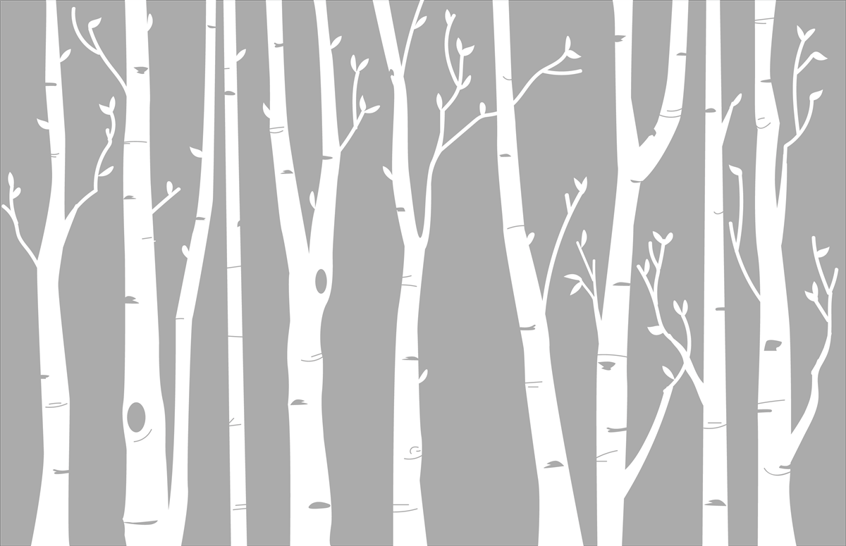 Birch Tree Wall Decal - White Birch Tree, Transparent background PNG HD thumbnail