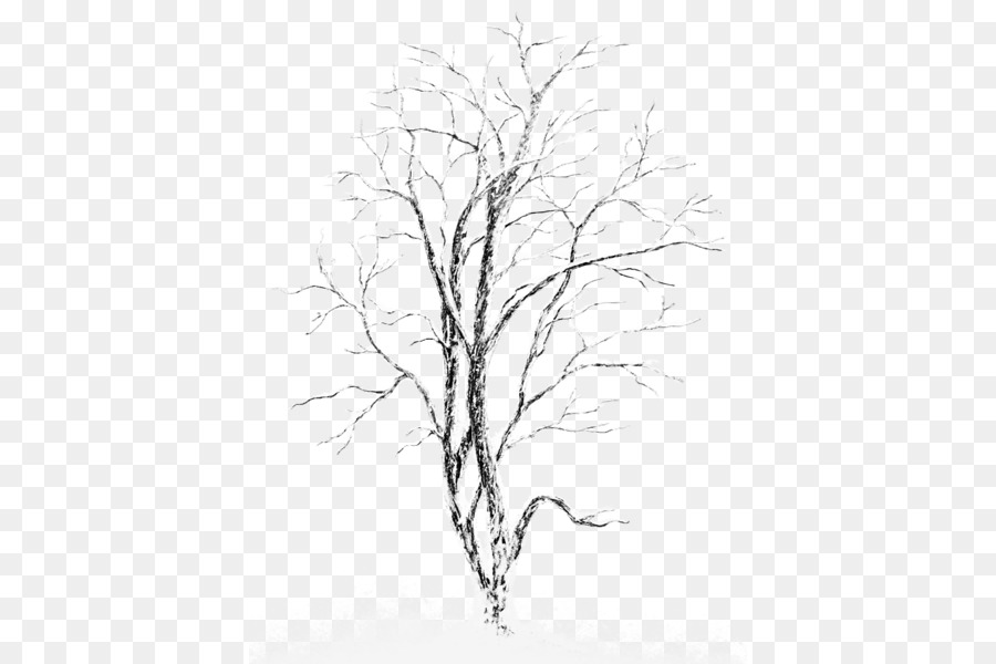 How I perceived a birch tree 