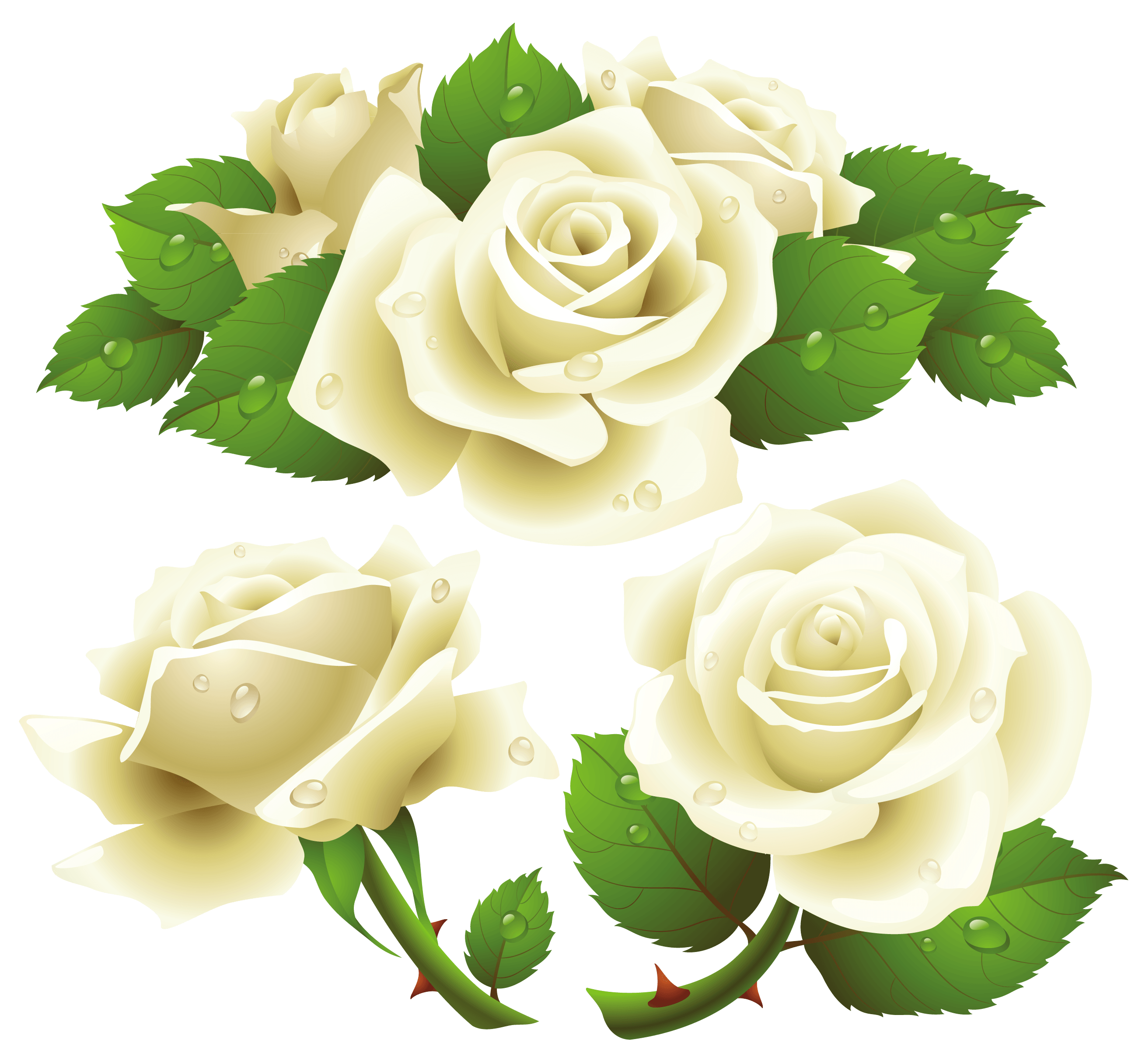 Download Png Image   White Rose Png Image Flower White Rose Png Picture - White Roses, Transparent background PNG HD thumbnail